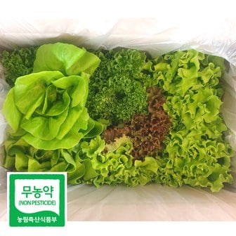  무농약 유럽 샐러드 채소 모듬 쌈 야채 깨끗한 수경재배 1kg