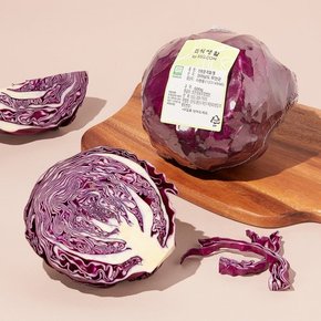 친환경 적채 (통) 600g
