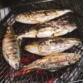 산해직송 국내 자연산 전어 1kg 구이용 간편 급냉