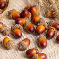 핫트랙스 도토리 모형(소-브라운) 20개