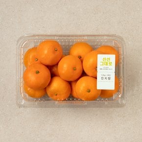 진지향 1.2kg 팩