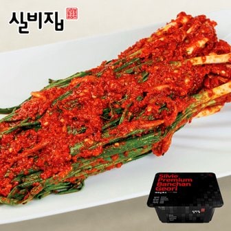 미미의밥상 선화동 실비집 매운 실비김치 파김치 1kg