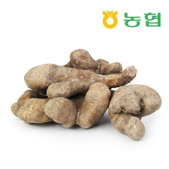 친환경팔도 [북안동농협] 안동 산마 (못난이)5kg