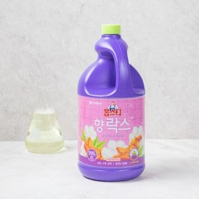 홈스타 향 락스 2L