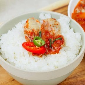 제철 통영 생굴무침 330g+330g