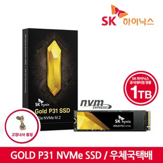 SK하이닉스 [SK하이닉스 공식스토어/우체국택배] SK하이닉스 GOLD P31 NVMe SSD 1TB