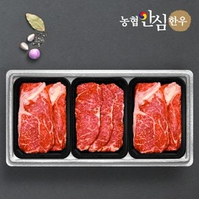 [1/13(월)이후 순차출고][냉장][농협안심한우] 등심 500g x 2팩+채끝 500g x 1팩 /총1.5kg