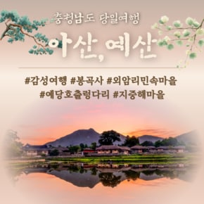[연합상품] 아산/예산 당일 감성여행 황금나무와 여행친구들