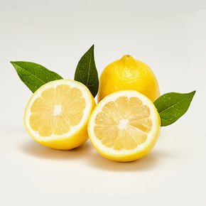 최상급 팬시 레몬 소과 3과