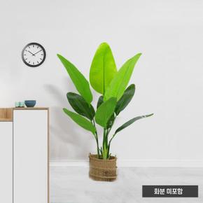 /위드마켓 [홈앤원] 홈가든 여인초 조화 (120cm)