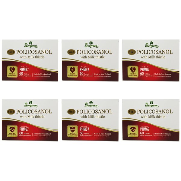 뉴질랜드 Evergreen 에버그린 폴리코사놀 위드 밀크 시슬 60정 6팩