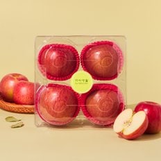 미식생활 [프리미엄] 고당도 사과 1.2kg (4입) 팩