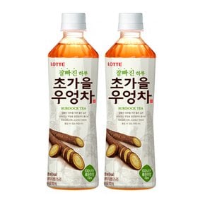 롯데칠성음료 잘빠진 초가을 우엉차 500ml 20병