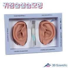 3B Scientific Germany 귀침술실습모형 N15 인체모형 귀모형