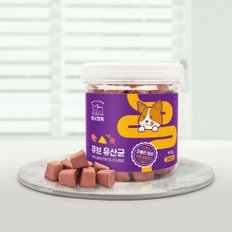 큐브 강아지 유산균 1통 변비 면역력 생 플로린 포스트바이오틱스