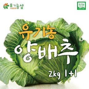 [초록한입] 국내산 유기농 양배추 2kg/1+1 (총4kg)