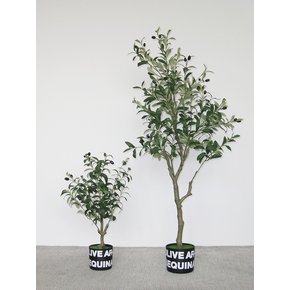 올리브 (olive arbequina) 조화