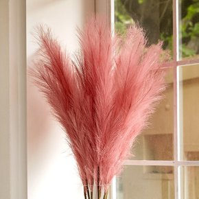 블레 팜파스 대형조화 핑크뮬리 인조갈대 10color
