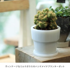 ideaco 11.5 cm Milk Glass Planter Pot 3 3) (이데아코) 유리 화분 3호 직경 화이트 (우유 유리