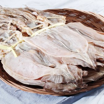 백송식품 동해안(건조) 부드러운 마른오징어 20마리(800g 내외)