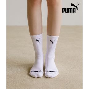 남성 프리미엄 크루 양말 3팩 PACK_P428446023