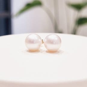 [부산점] 펄플레인 아코야진주(8.5mm) 귀걸이 241610106