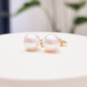 [부산점] 펄플레인 아코야진주(8.5mm) 귀걸이 241610106