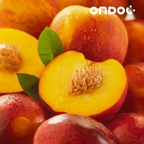 26년 햇사레 복숭아 황도 3kg 10과