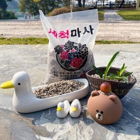 세척 마사토 중립 약1.8kg . 원예용 다육이 씻은 분갈이흙 배수용 화분 마감재