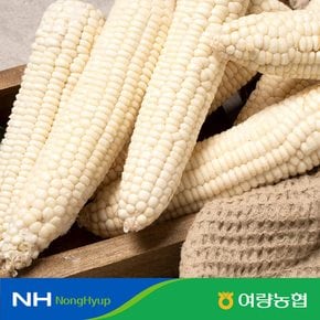 [여량농협] 강원도 냉동 찰옥수수 5개입 x5봉(25개)