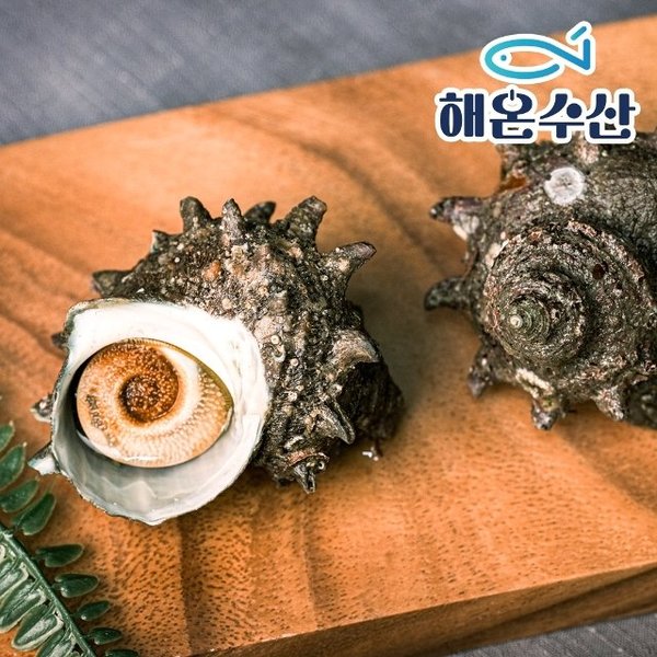 확대된 대표 image1