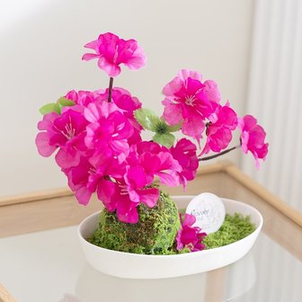 4. 플라워트리 철쭉..