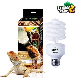 샘아쿠아 럭키허프 데저트 UVB 10.0 파충류 램프 26W (사막용)