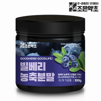 기타 조은약초 빌베리 농축 분말 가루 파우더 대용량 300g