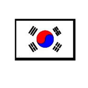 골드인삼/글루홍삼/골드홍삼/글루코사민/파스아님패드