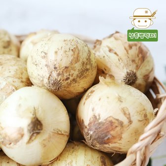  [삼촌농장] 달큰한 무안 햇 양파(중) 3kg