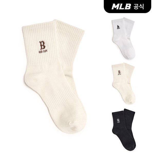 확대된 대표 대표이미지