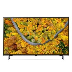 [쓱설치][공식] LG 울트라HD TV 스탠드형 50UR342C9NC (125cm)(희망일)