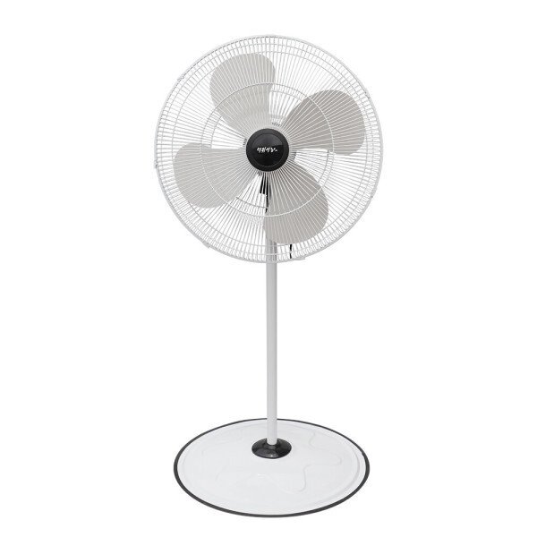 확대된 대표 상품이미지1