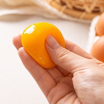  HACCP 자연방목 난각번호 1번 무항생제 인증 자연방사 안전 유정란 20구(대란)