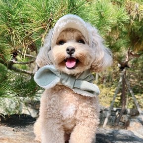 뽀글이 강아지 고양이 겨울 털목도리 3colors