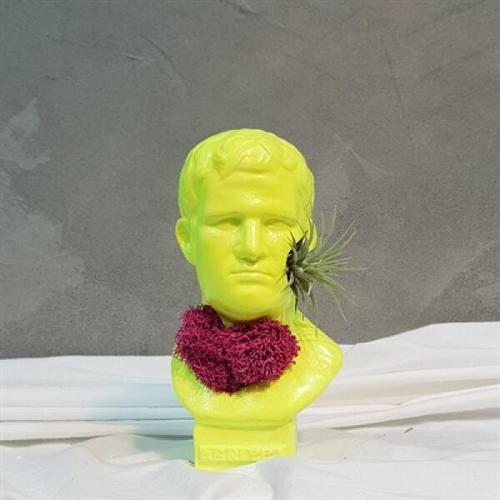IMAGE1