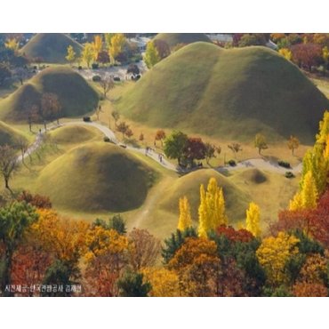 홍익여행 [최소출발인원 8명][KTX-1박] 호텔경주황리단길/울산태화강국가정원/부산해운대해변열차