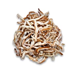 국내가공 진미채 참진미 참진미채 오징어채 250g