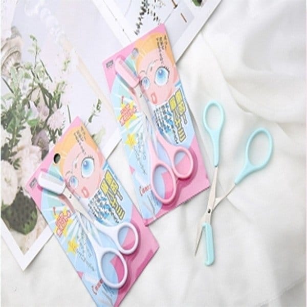 확대된 대표 image1