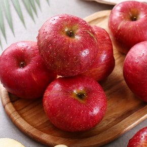 달콤한 부사 사과 1.5kg 10-11과(꼬마)