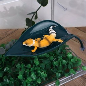 도마뱀 사육장꾸미기 나뭇잎 백업 은신처 도마뱀백업 도마뱀은신처 도마뱀사육장꾸미기