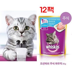 신선한 생선맛 습식사료 영양 고양이밥 길냥이 주식파우치 반려동물간식 좋은음식 영양간식