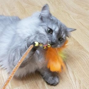 [리은상점] 고양이 방울 깃털 막대 장난감