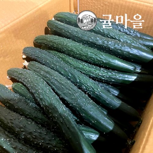 추가1이미지